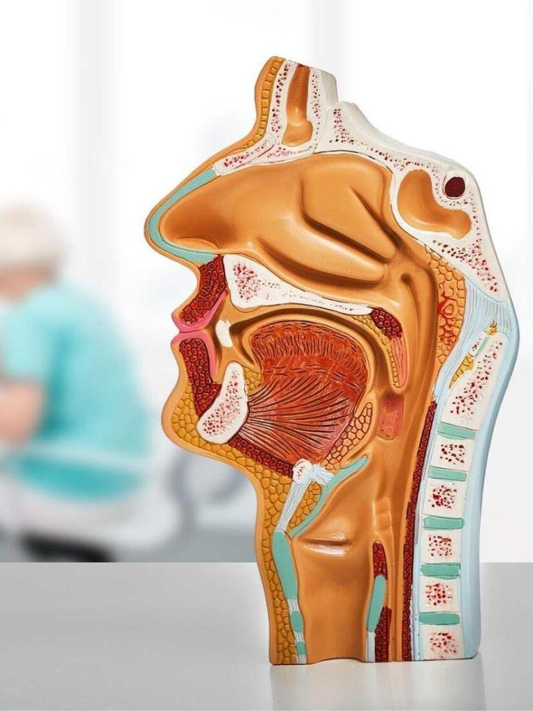 ent retailer image aspect ratio 1200 1600